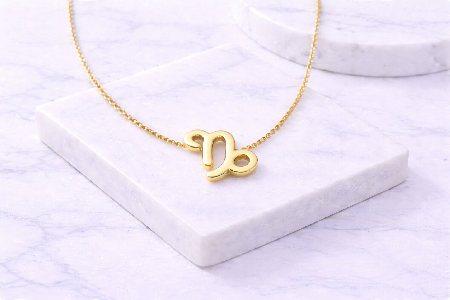 Capricorne — Héritage