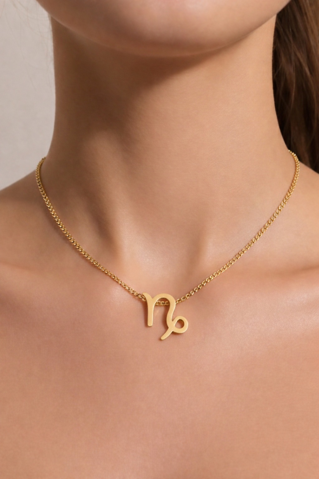 Capricorne — Héritage